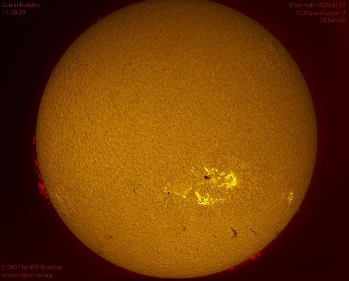 Solar disk in h-alpha 11/28/2020