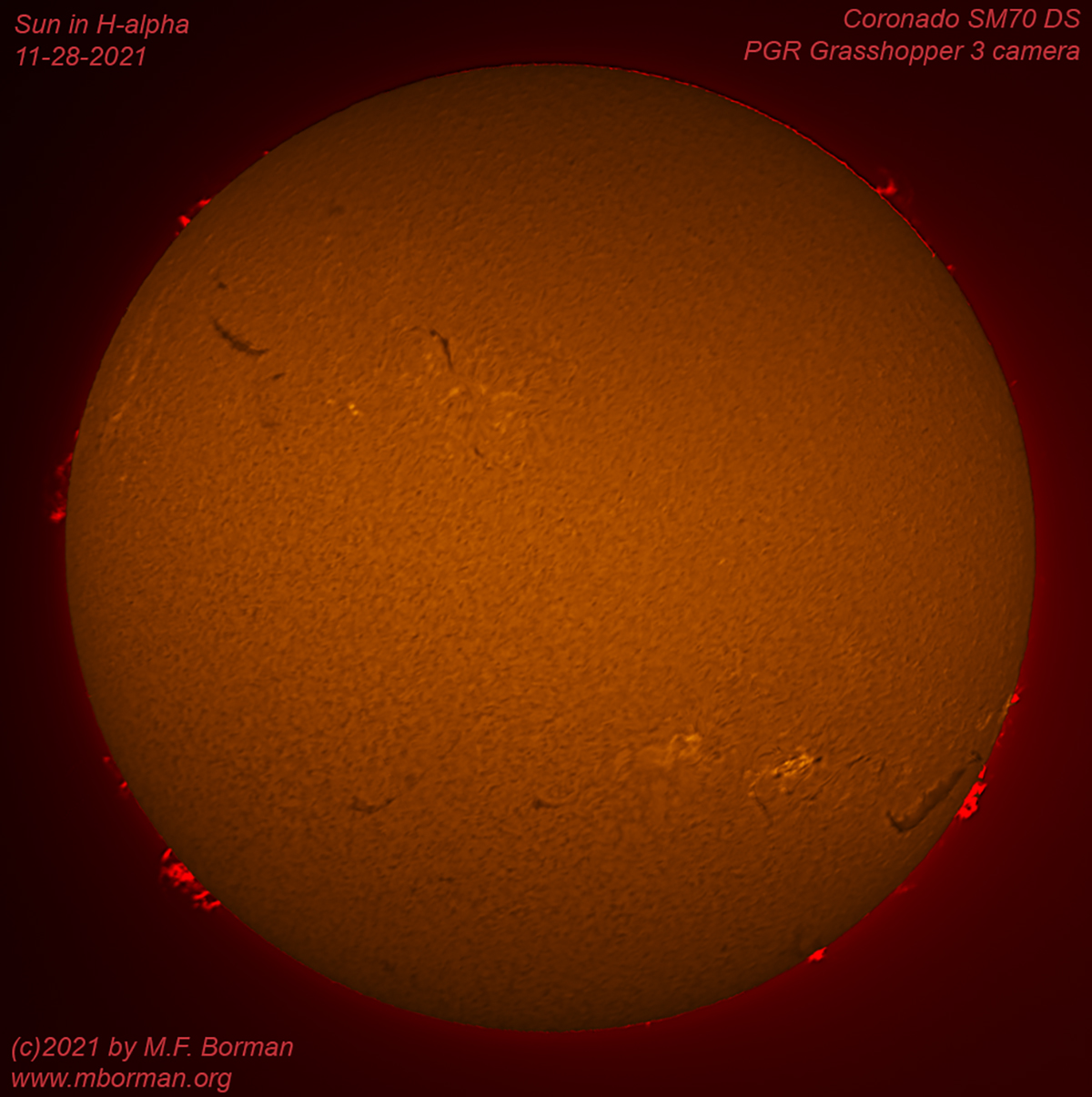 Solar disk in h-alpha 11/28/2021