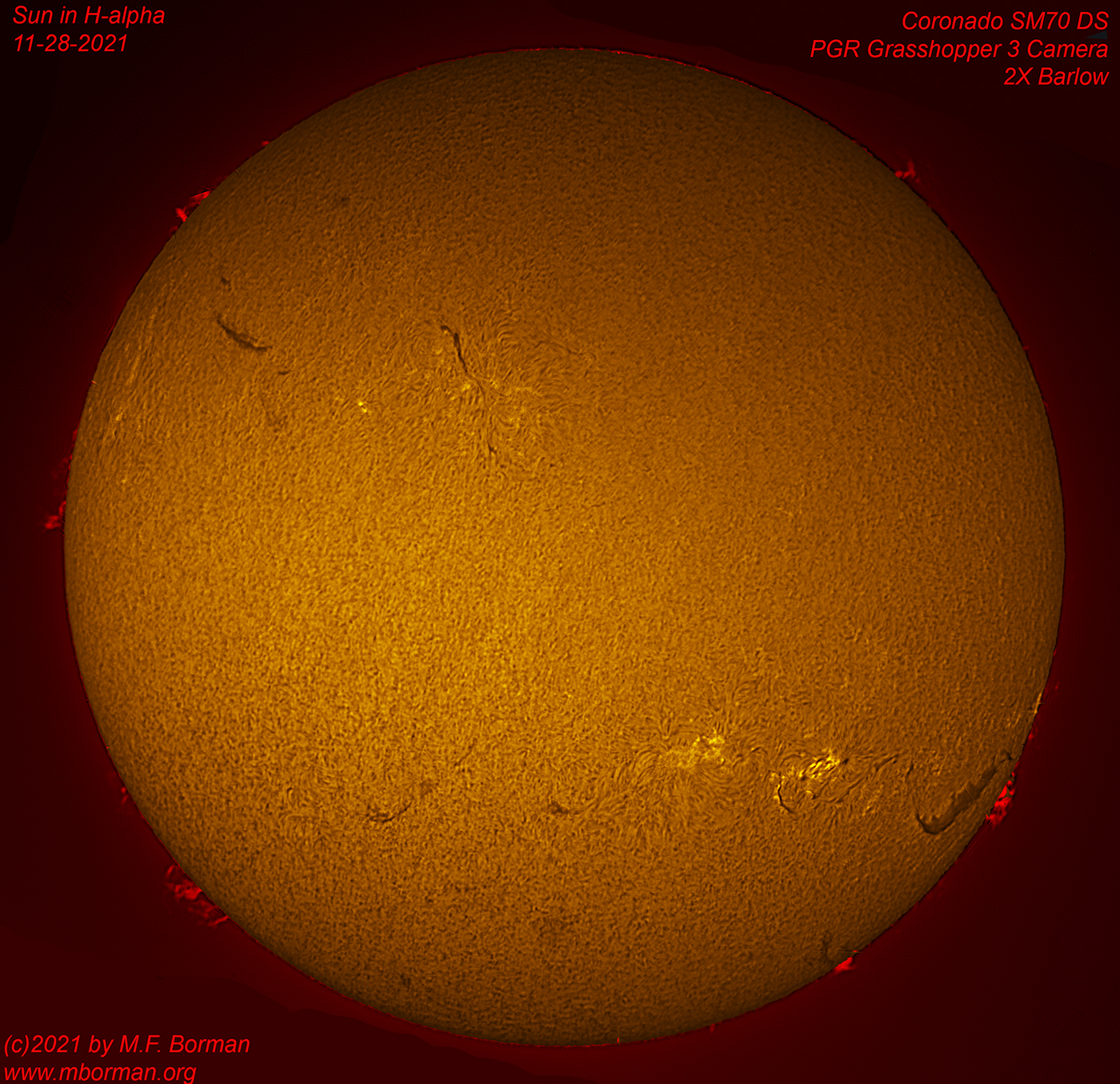 Solar disk in h-alpha 11/28/2021