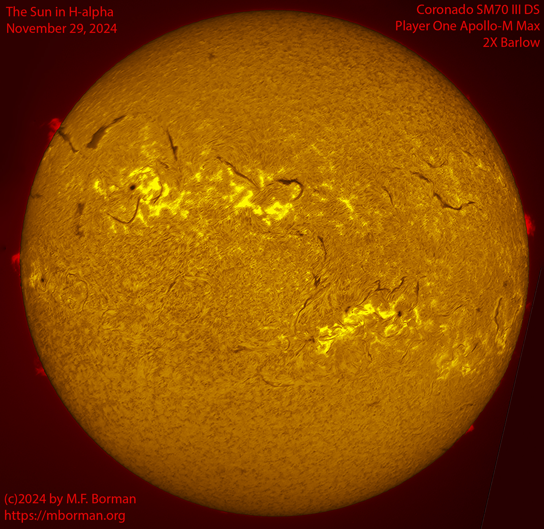 Solar image in h-alpha 11/29/24
