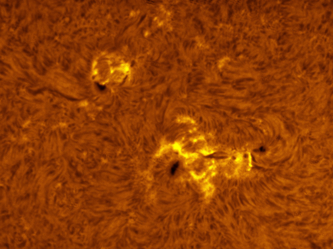 Sunspot 1362 and 1365 in h-alpha 12/03/2011