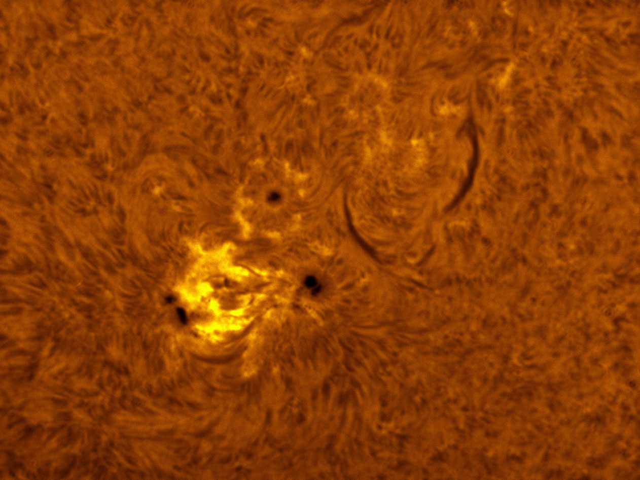 Sunspot 1363 in h-alpha 12/03/2011