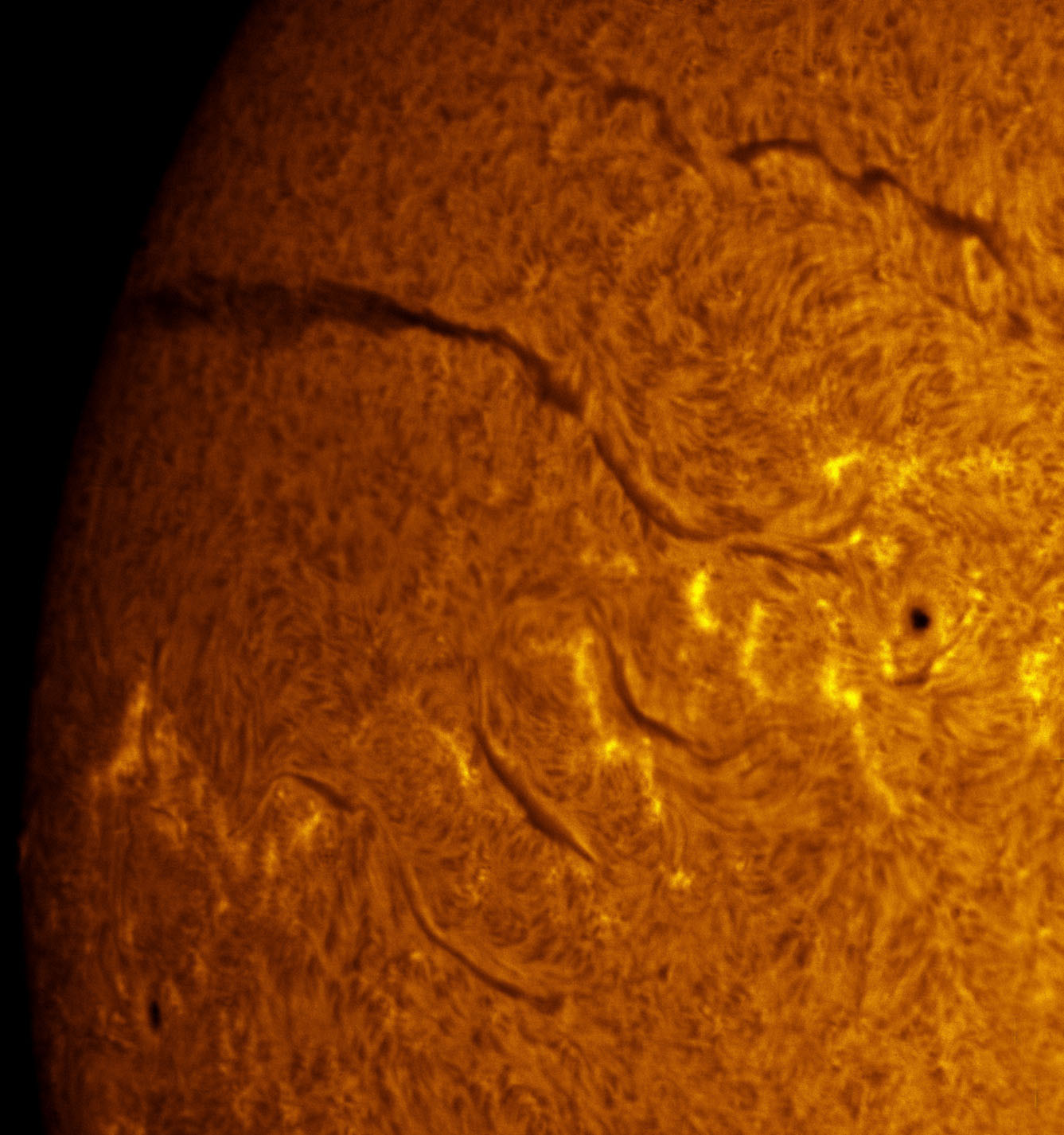 Sunspot 1364 and 1366 in h-alpha 12/03/2011