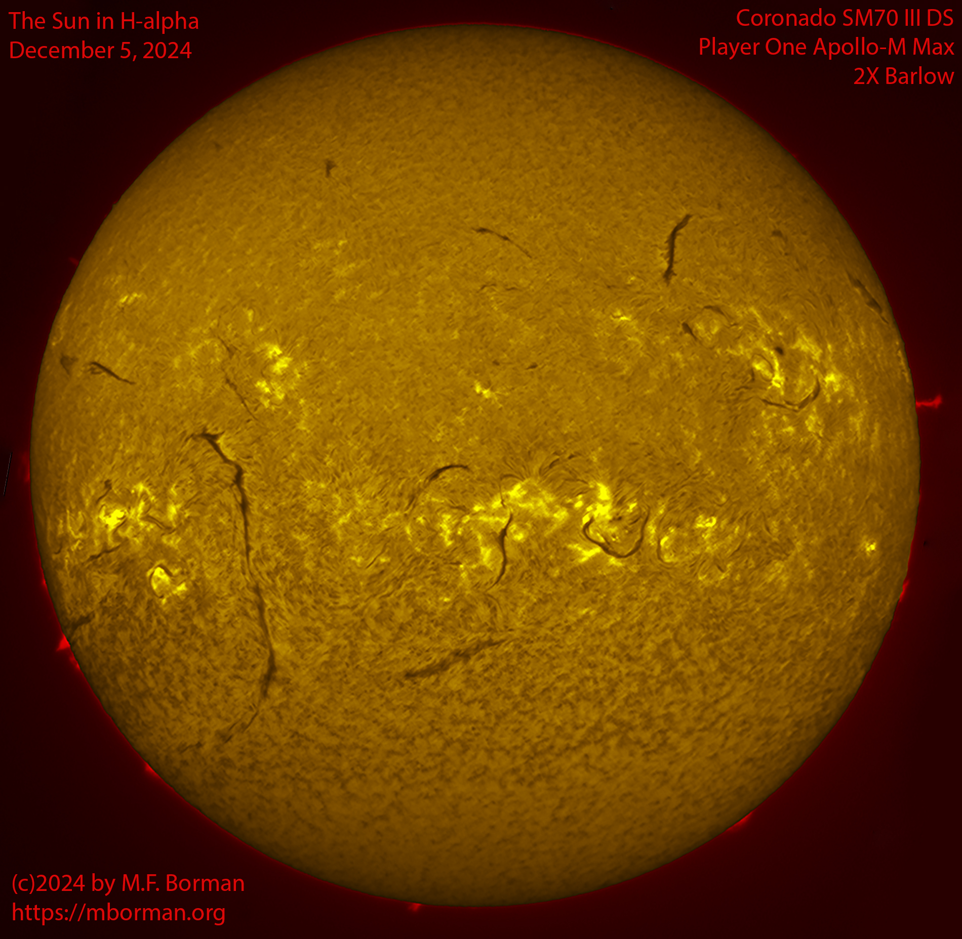 Solar image in h-alpha 12/05/24