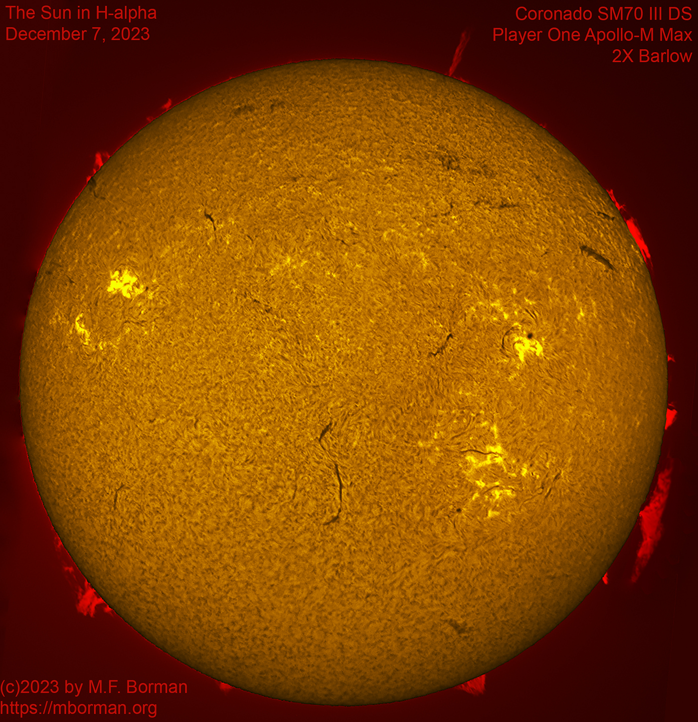 Solar image in h-alpha 12/07/2023