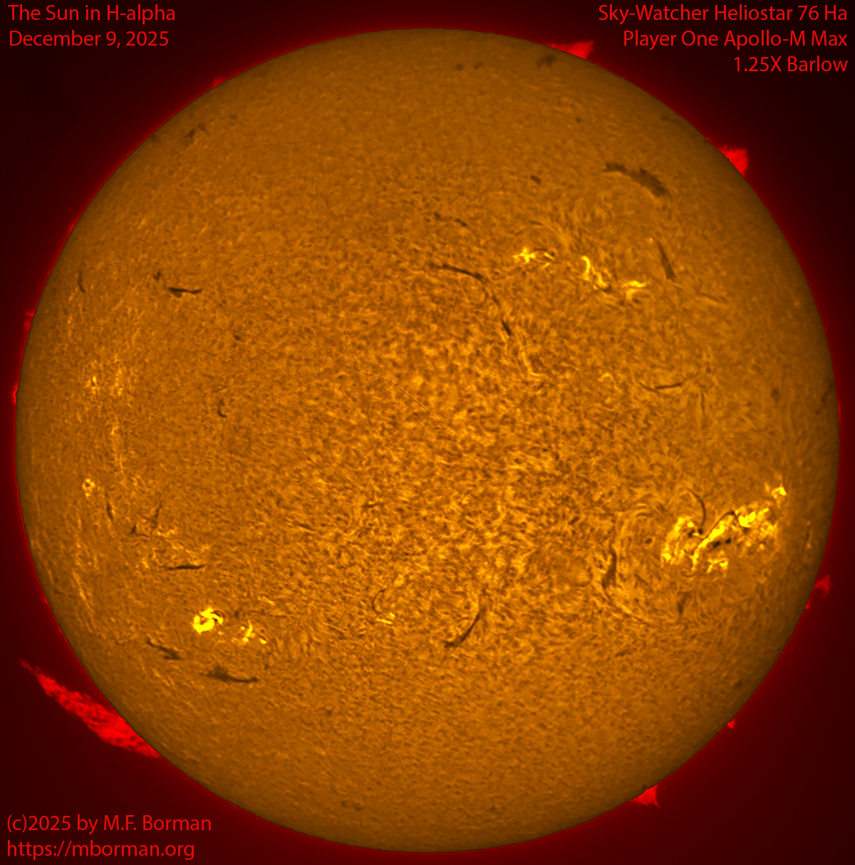 Solar image in h-alpha 12/09/25