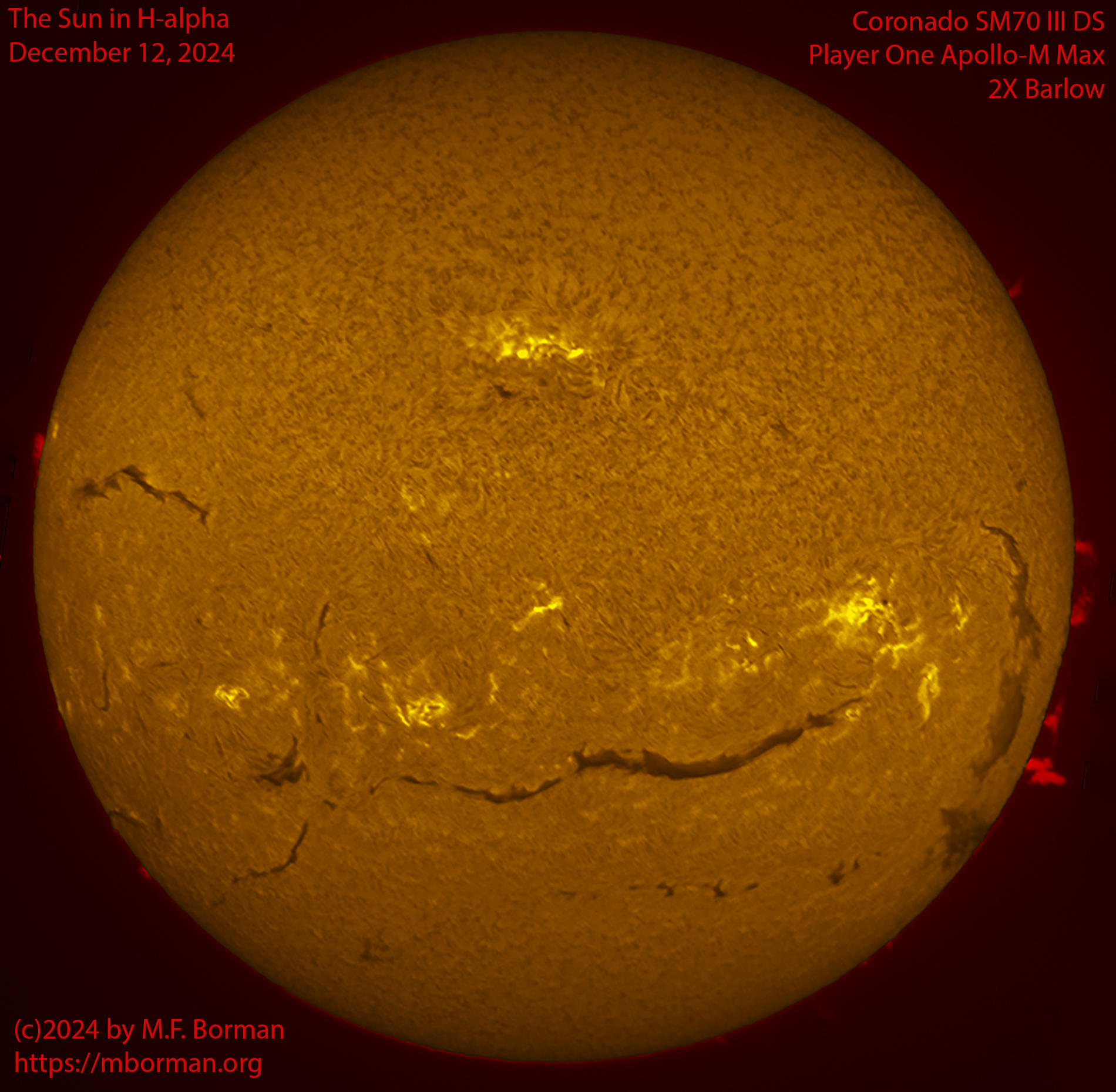 Solar image in h-alpha 12/12/24