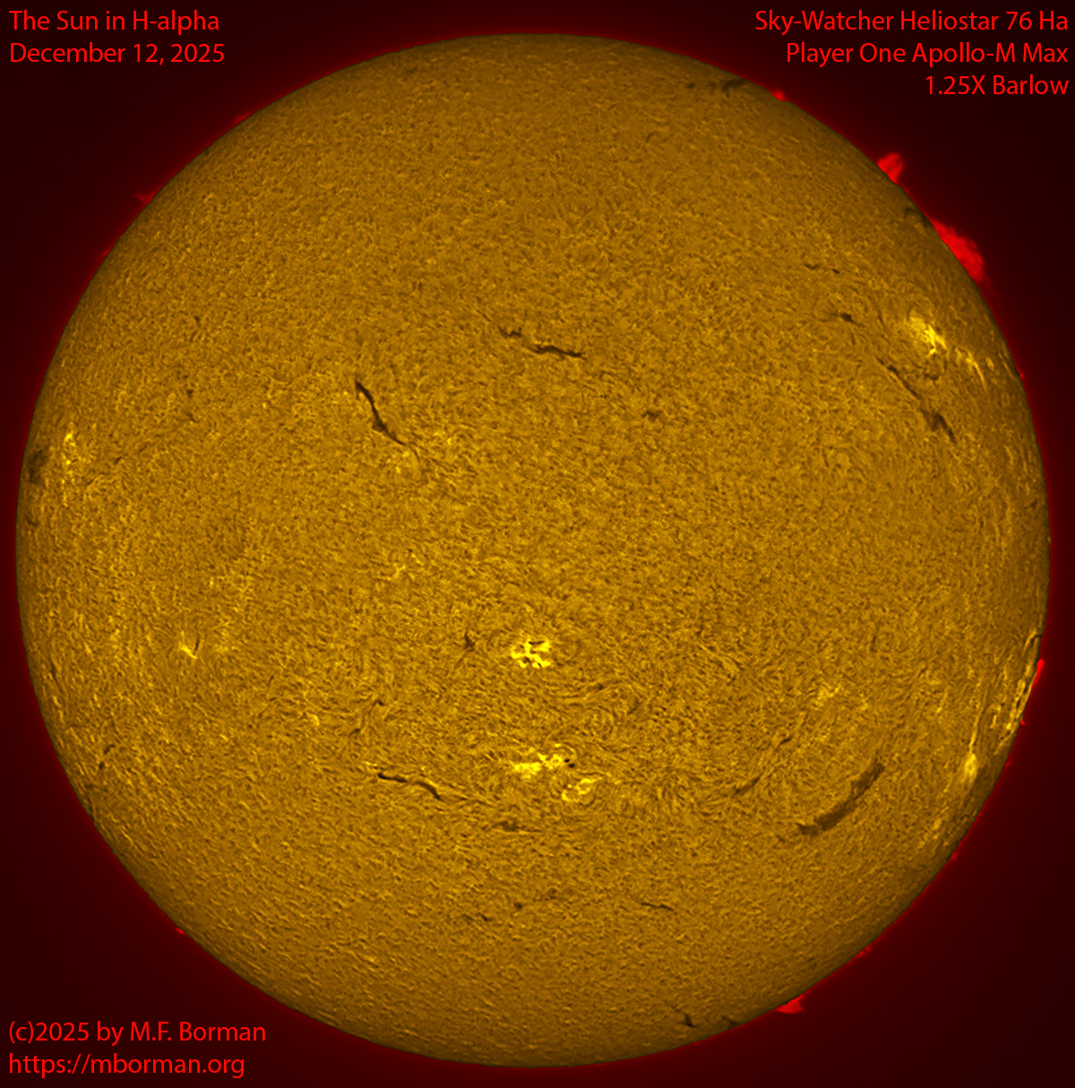 Solar image in h-alpha 12/12/25