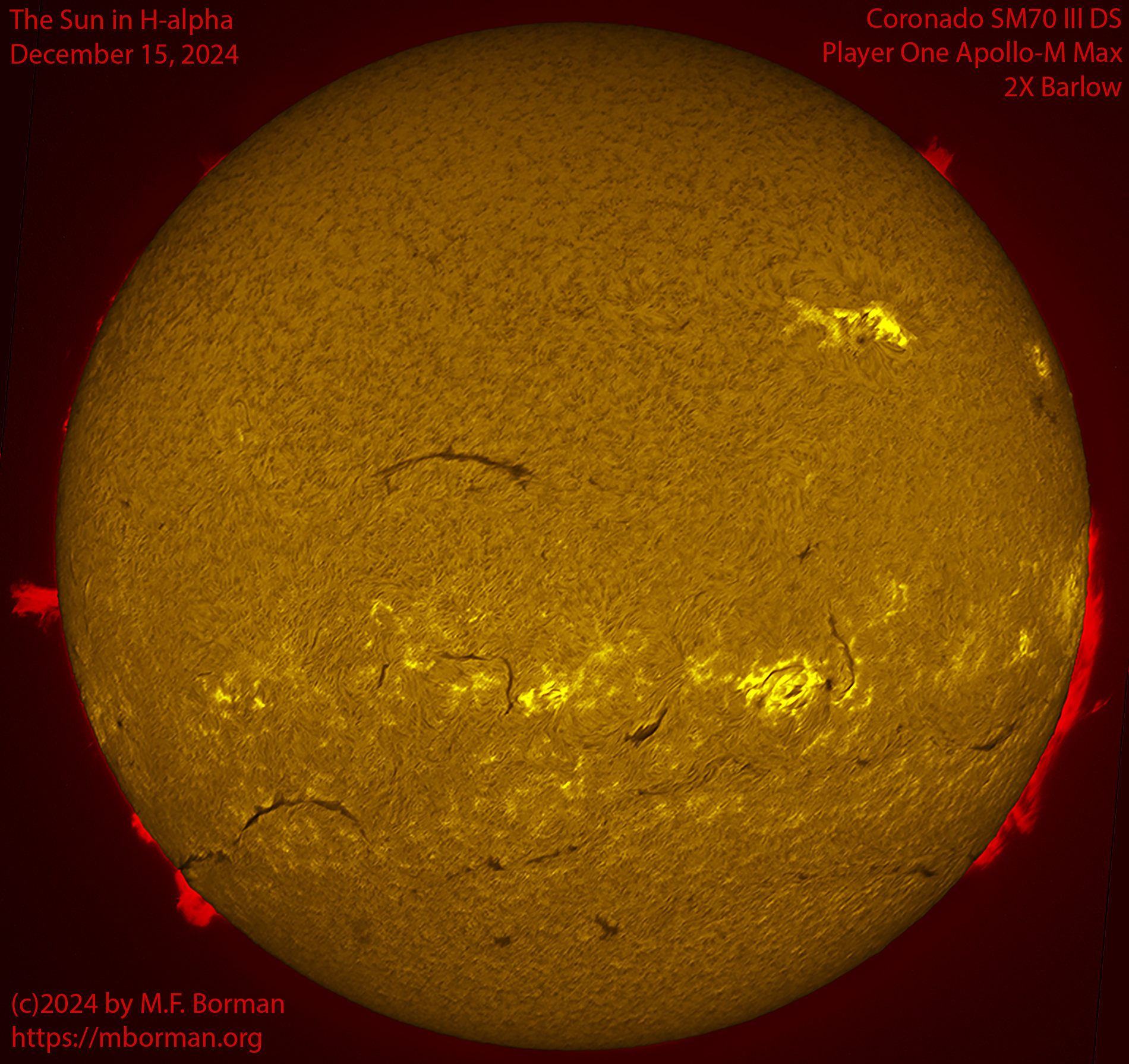 Solar image in h-alpha 12/15/24