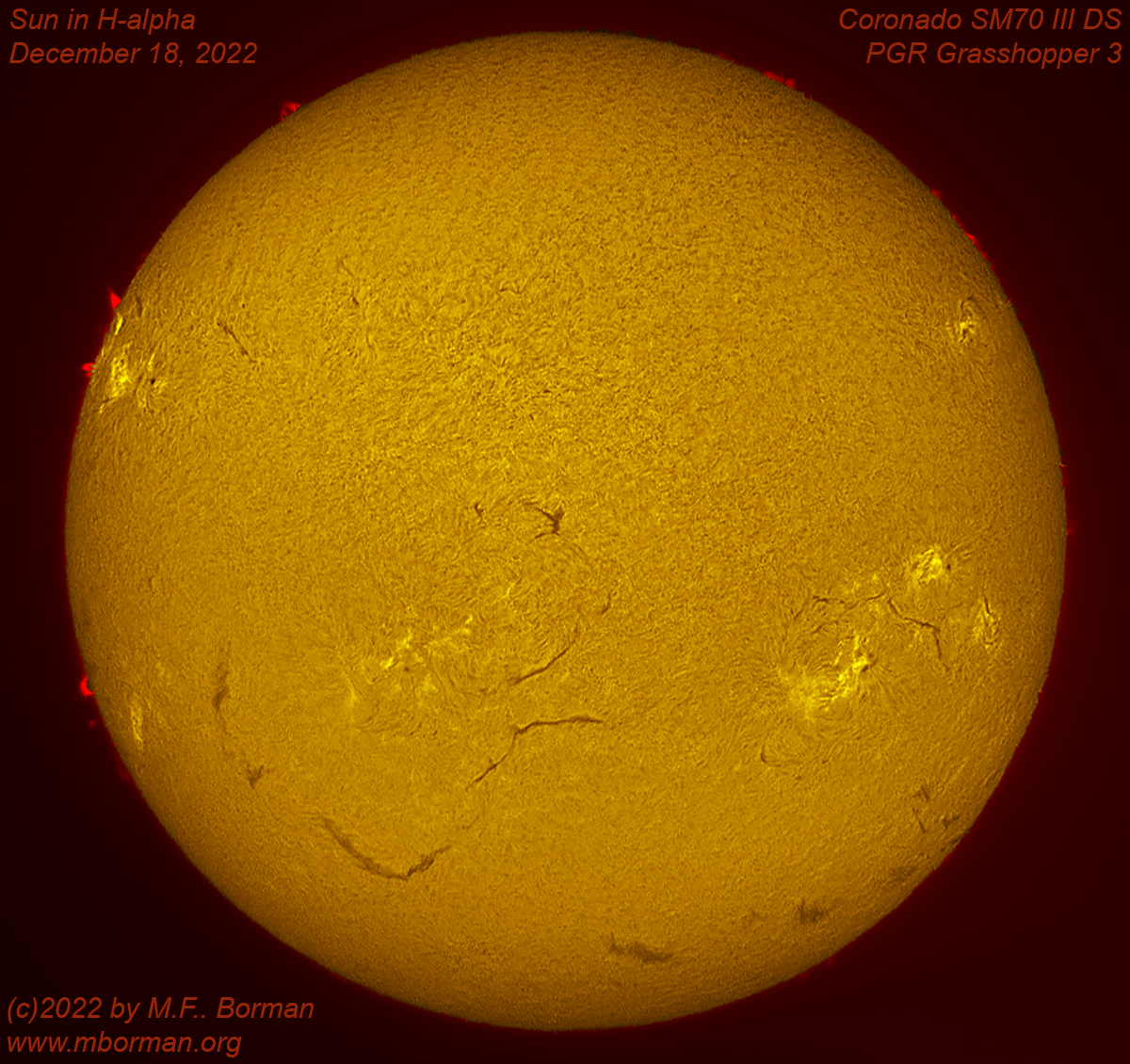 Solar disk in h-alpha 12/18/2022