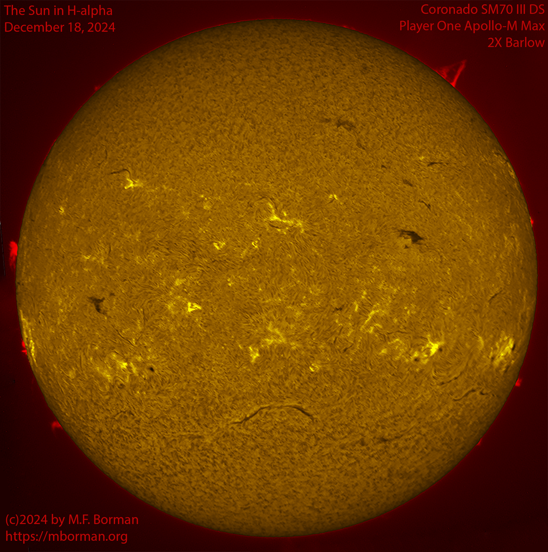 Solar image in h-alpha 12/18/24