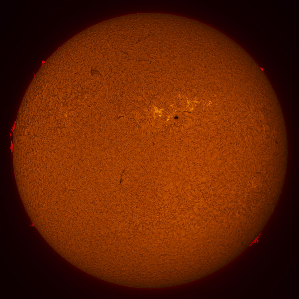 Solar Disk in h-alpha 12/19/2015