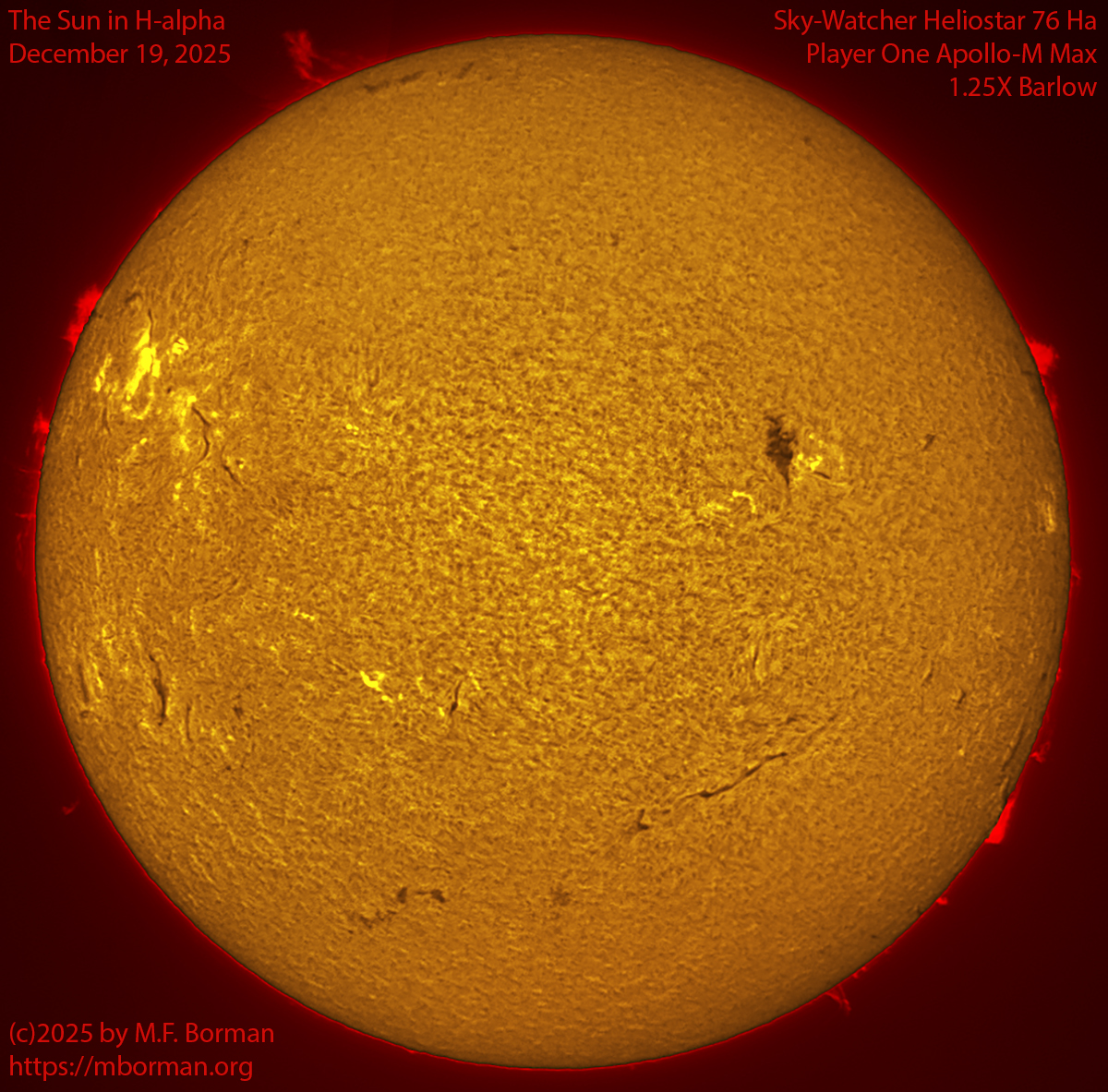 Solar image in h-alpha 12/19/25