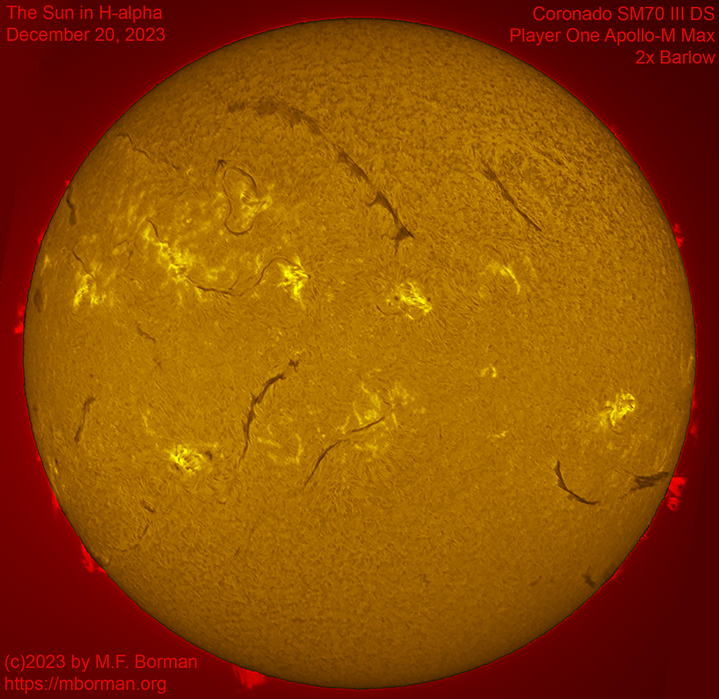 Solar disk in h-alpha 12/20/2023