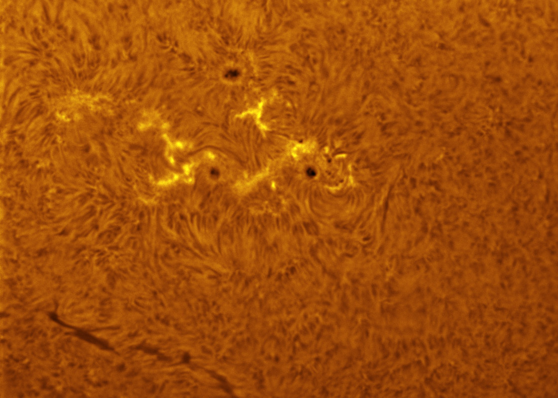 Sunspots 1633 and 1634 in h-alpha 12/21/2012
