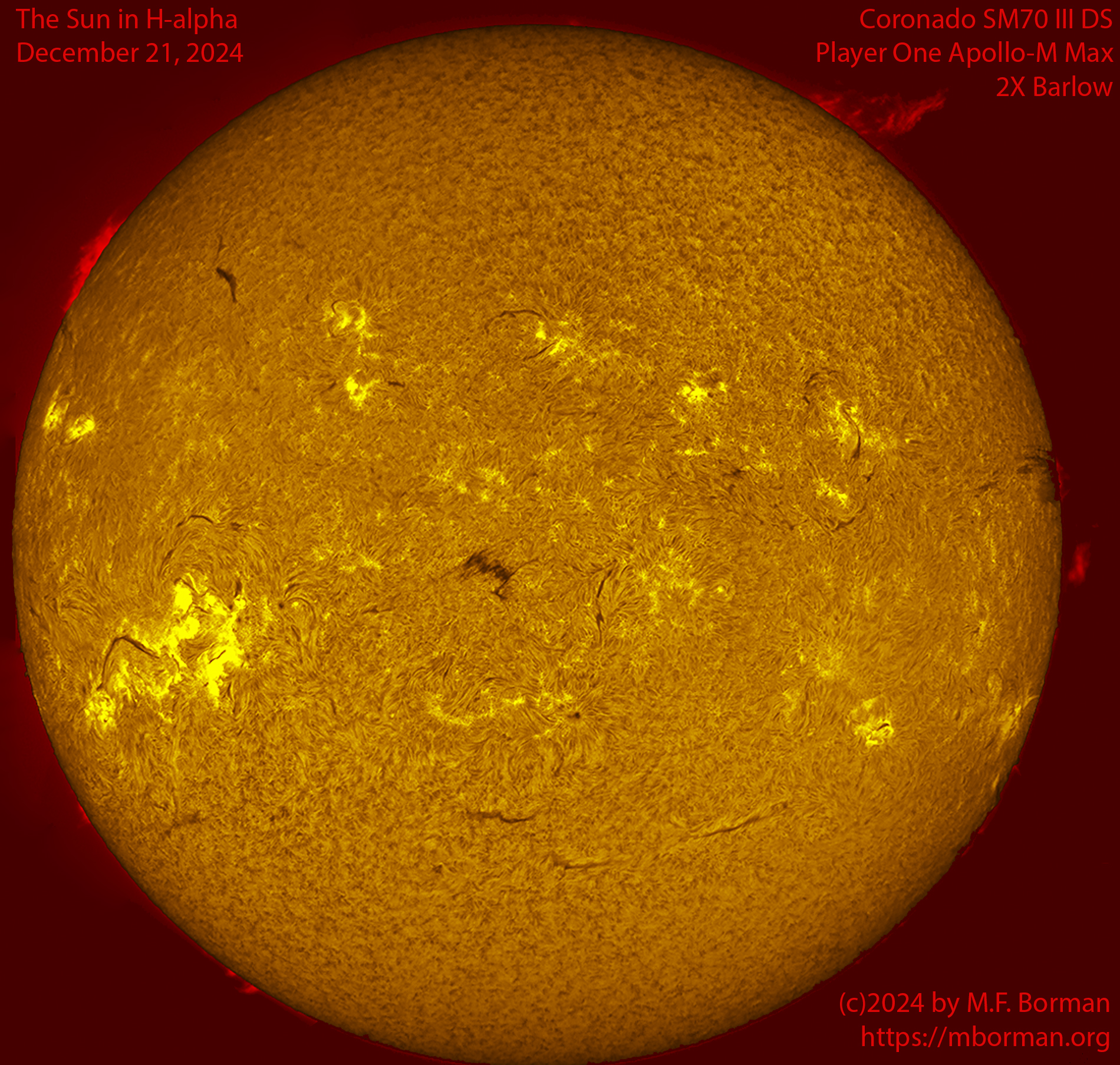 Solar image in h-alpha 12/21/24