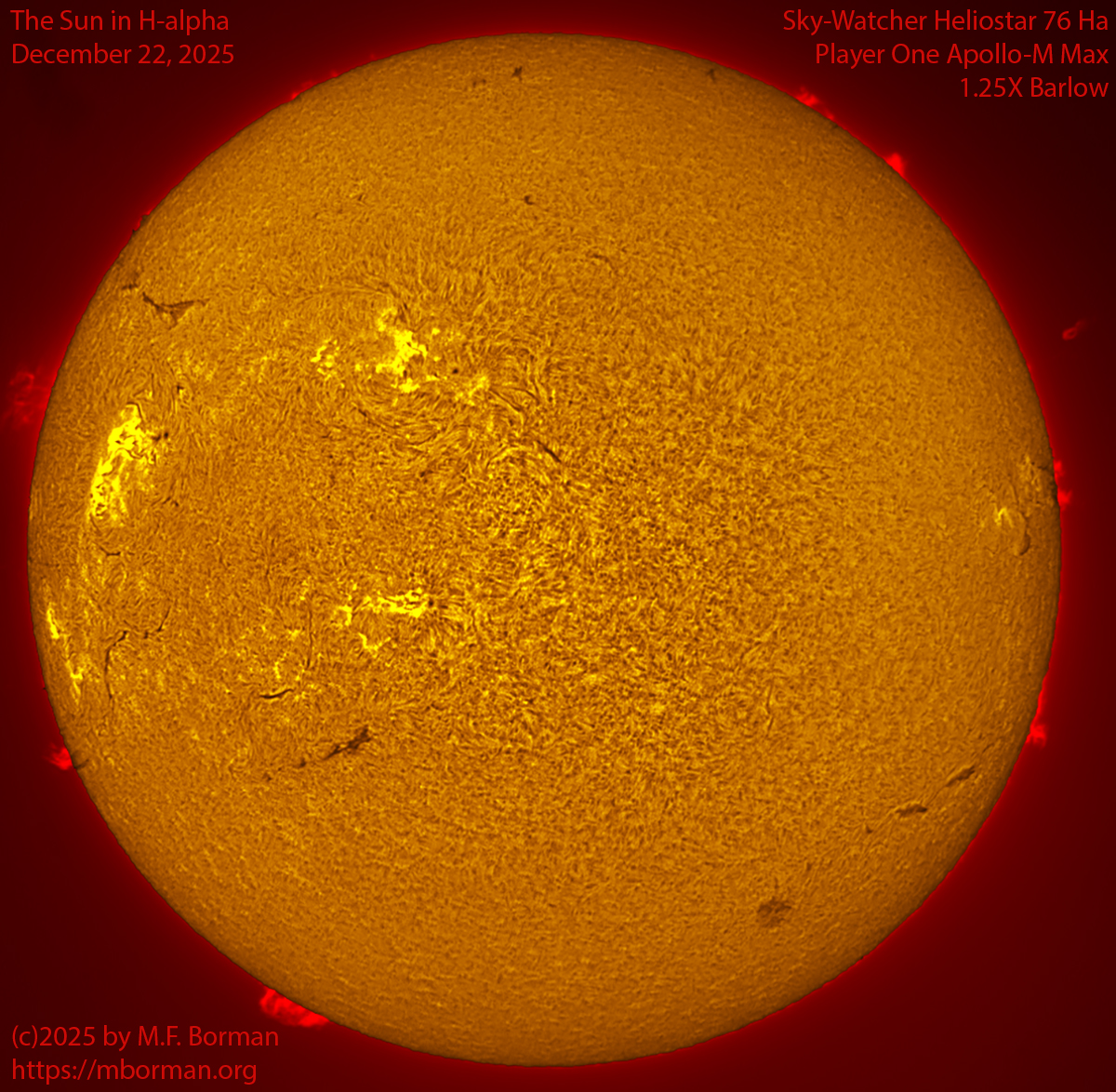 Solar image in h-alpha 12/22/25