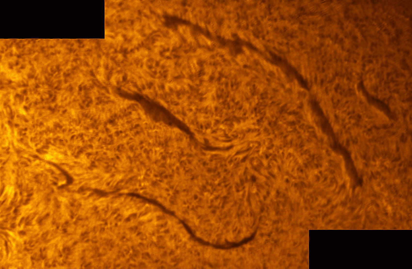Filaments in h-alpha 12/24/2011