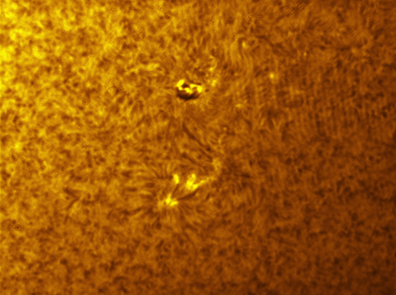 Sunspot 1385 in h-alpha 12/24/2011