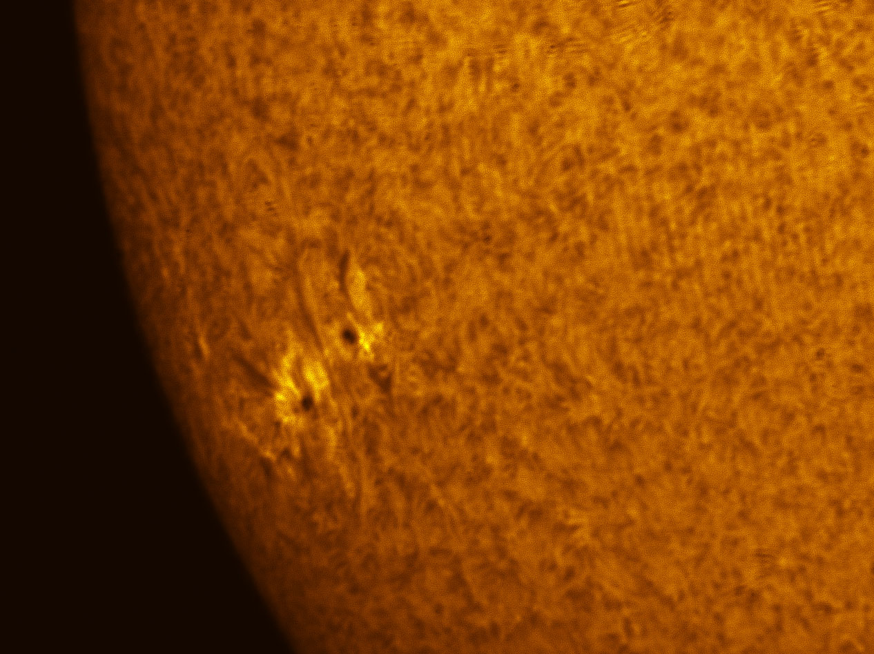 Sunspot 1386 in h-alpha 12/24/2011