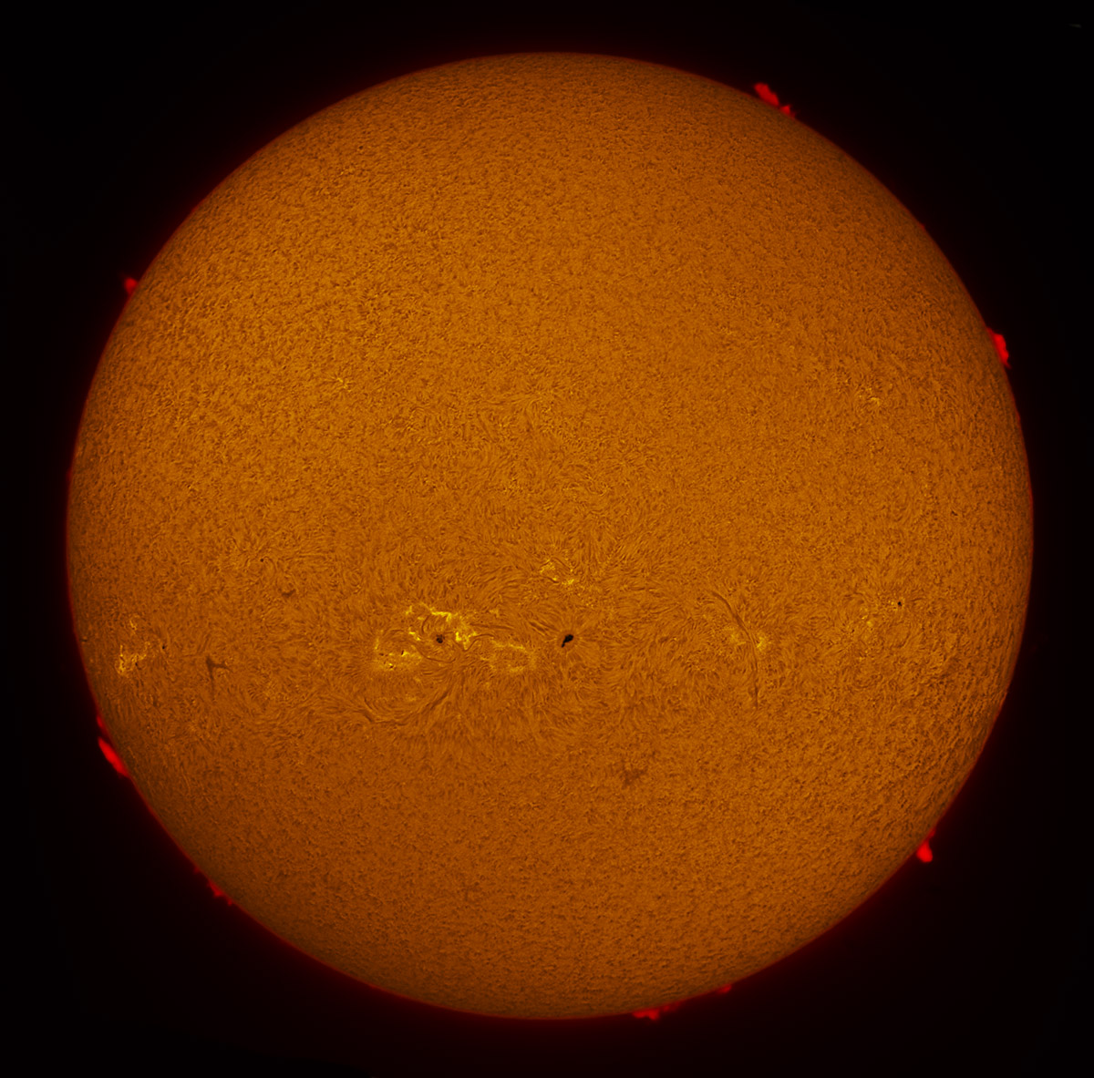 Solar Disk in h-alpha 12/24/2013