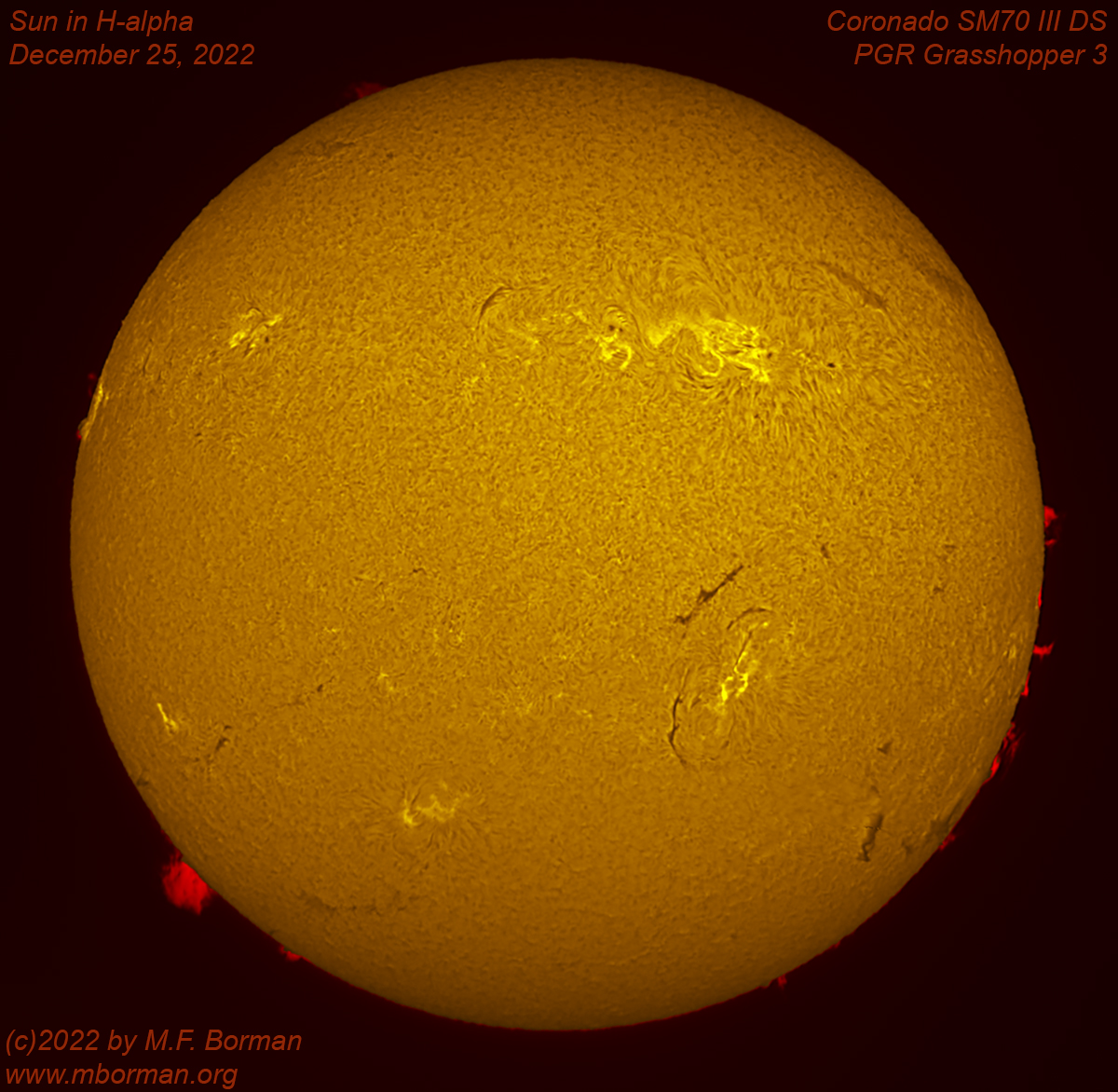 Solar disk in h-alpha 12/25/2022