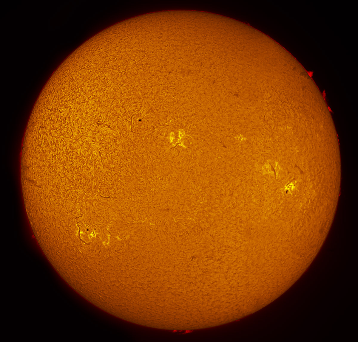 Solar Disk in h-alpha 12/26/2014