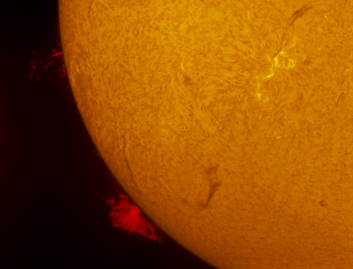 Solar prominences in h-alpha 12/31/2013
