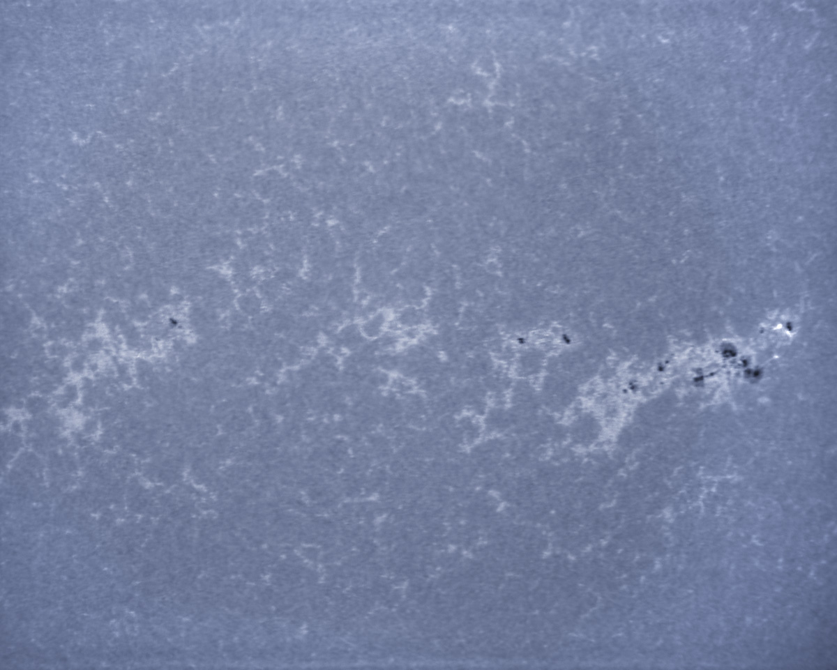 Sunspot 1936 in CaK 12/31/2013