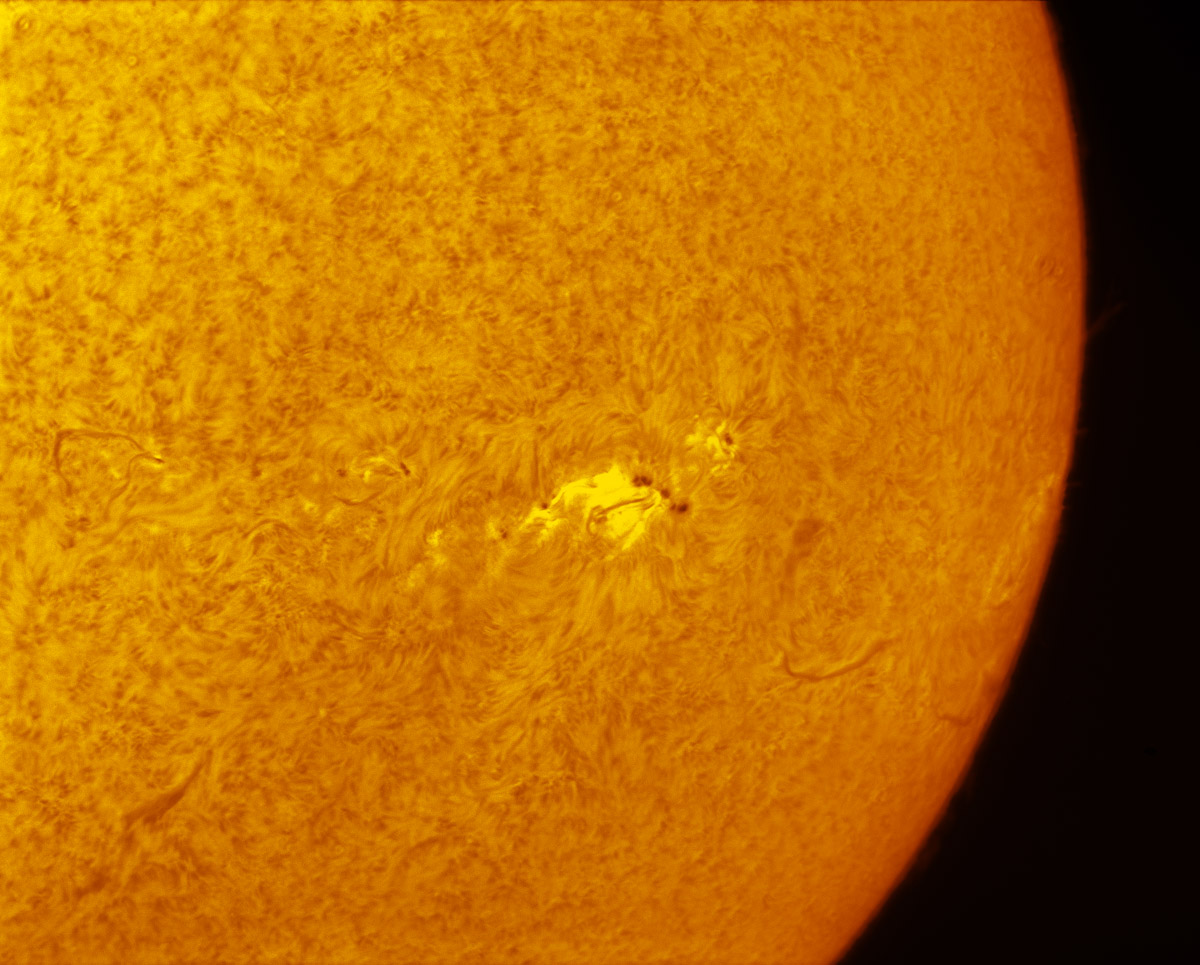 Sunspot 1936 in h-alpha 12/31/2013
